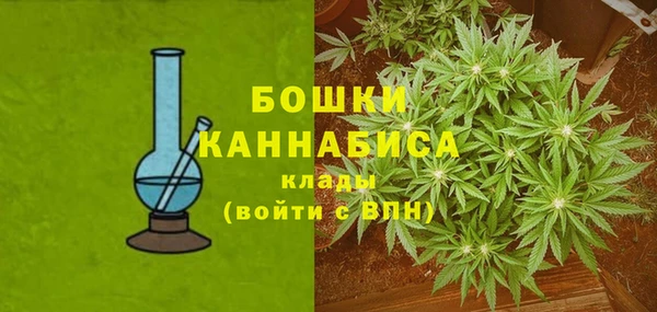 ГАЛЛЮЦИНОГЕННЫЕ ГРИБЫ Армянск