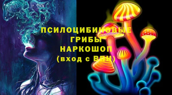 ГАЛЛЮЦИНОГЕННЫЕ ГРИБЫ Армянск